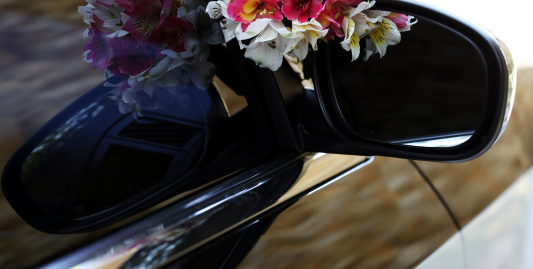 Elegant arrivals in Frankfort, Illinois — Stop and Go Airport Shuttle