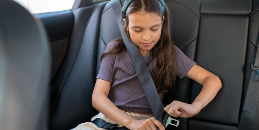 Dynamic transportation options in Montgomery, Illinois — Stop and Go Airport Shuttle