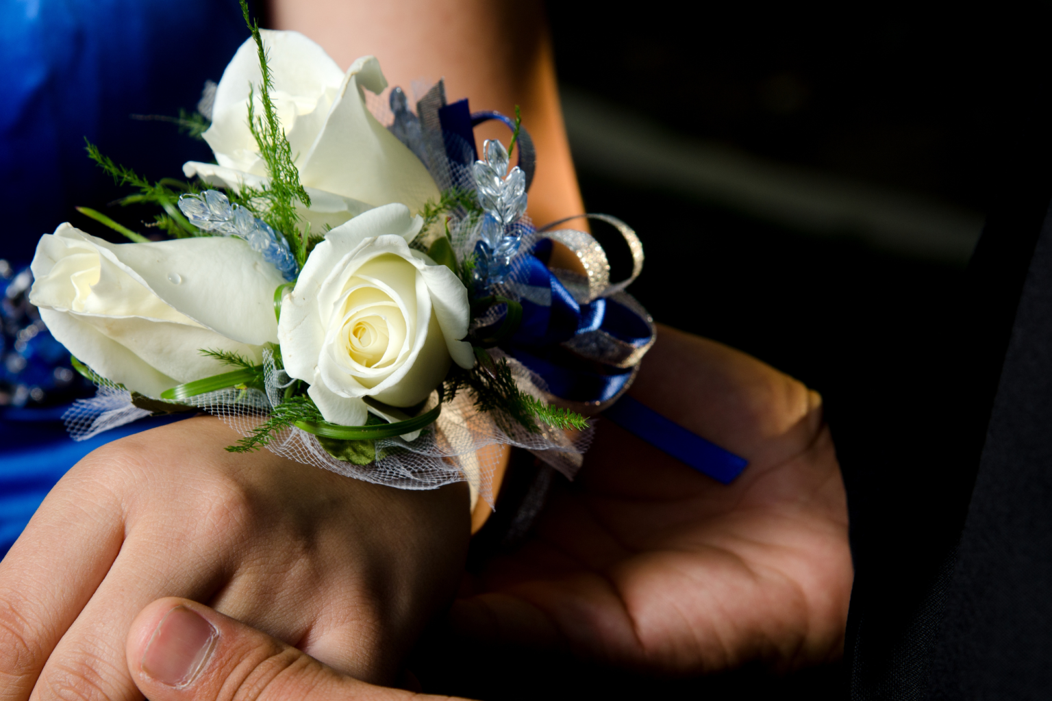 Students arriving at prom in a luxury party bus — Stop and Go Limo Illinois