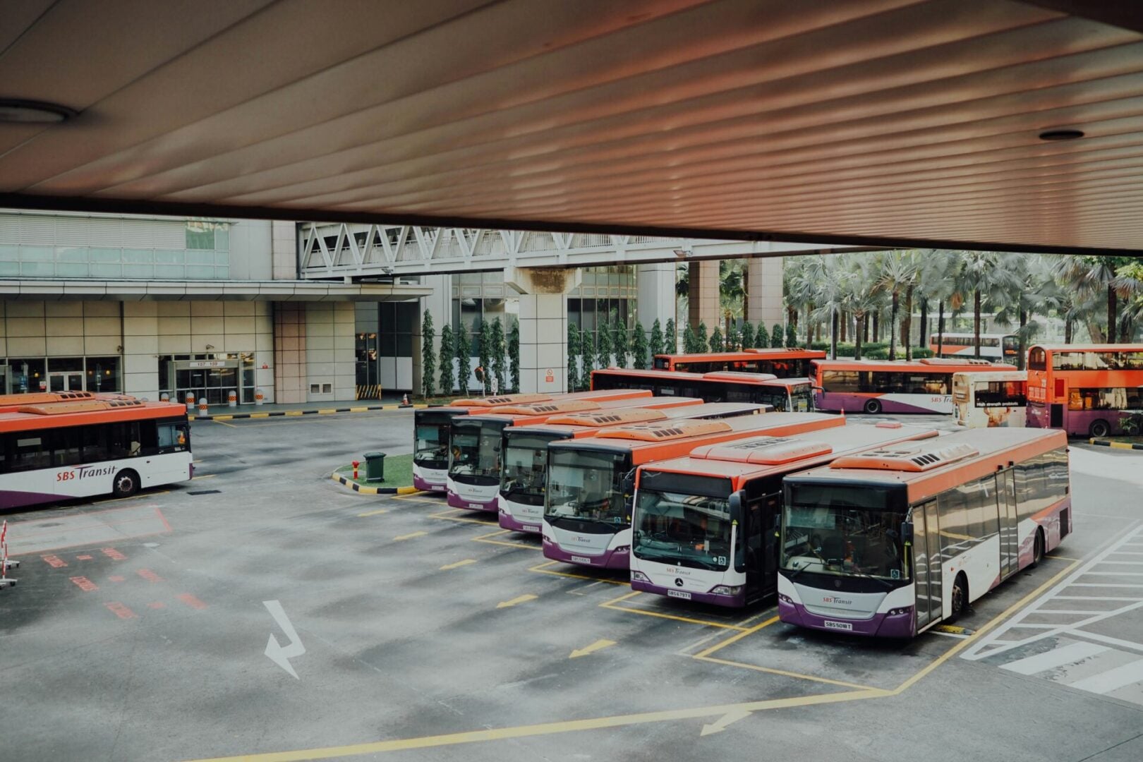 Coach Buses